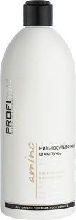 PROFIStyle AMINO szampon niskosiarczanowy